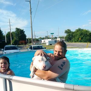 Meet your Posher, Priscilla